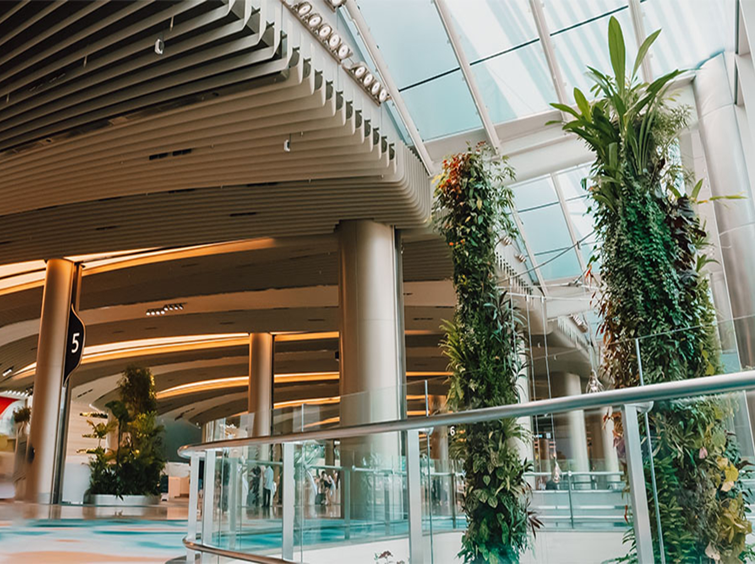 Craftsmanship and Elegance: The Ceiling of Singapore Changi Airport Terminal 2