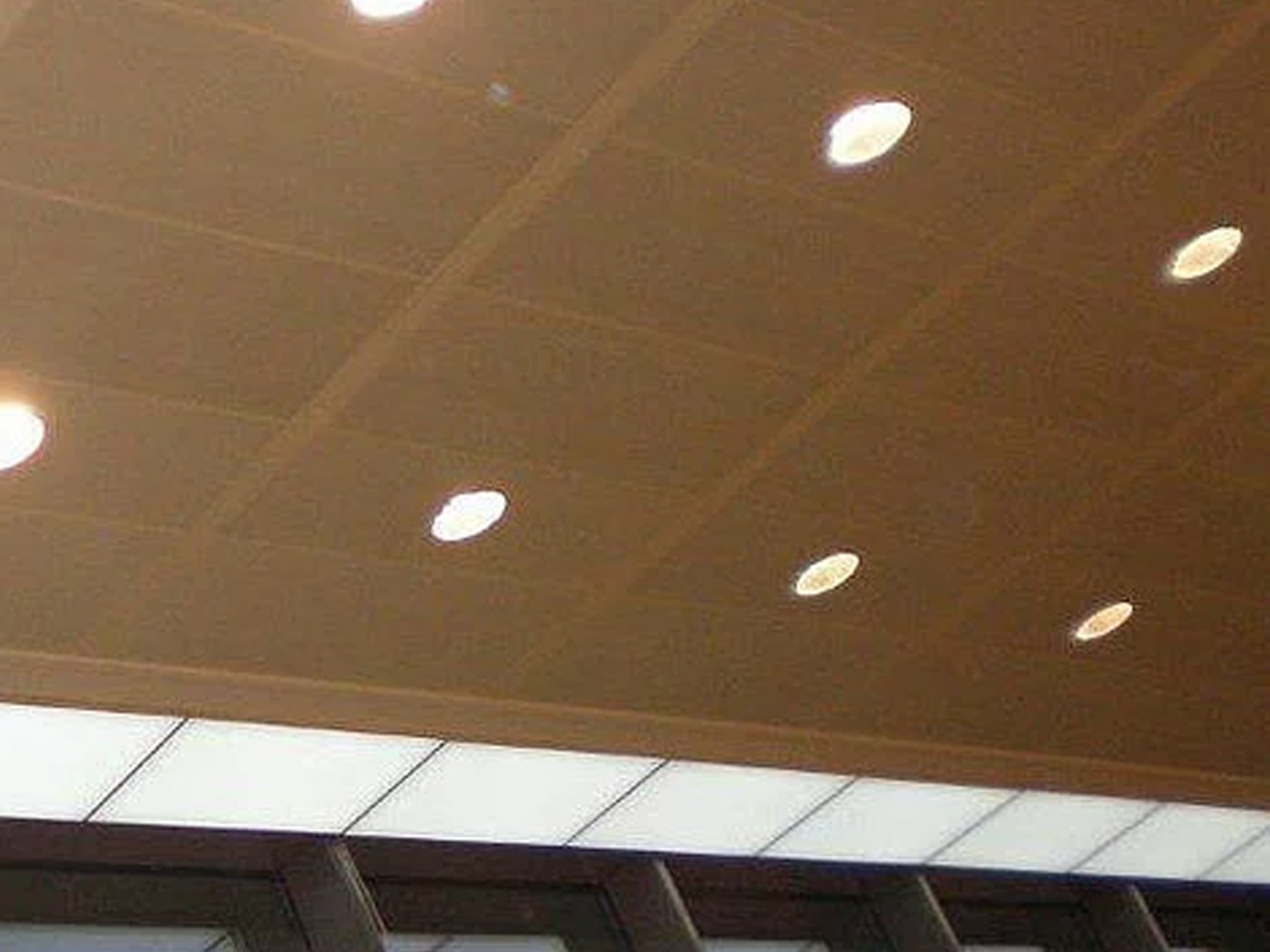 Amstelgebouw Aluminum False Ceiling Panel Acm Cladding Ceiling Panel