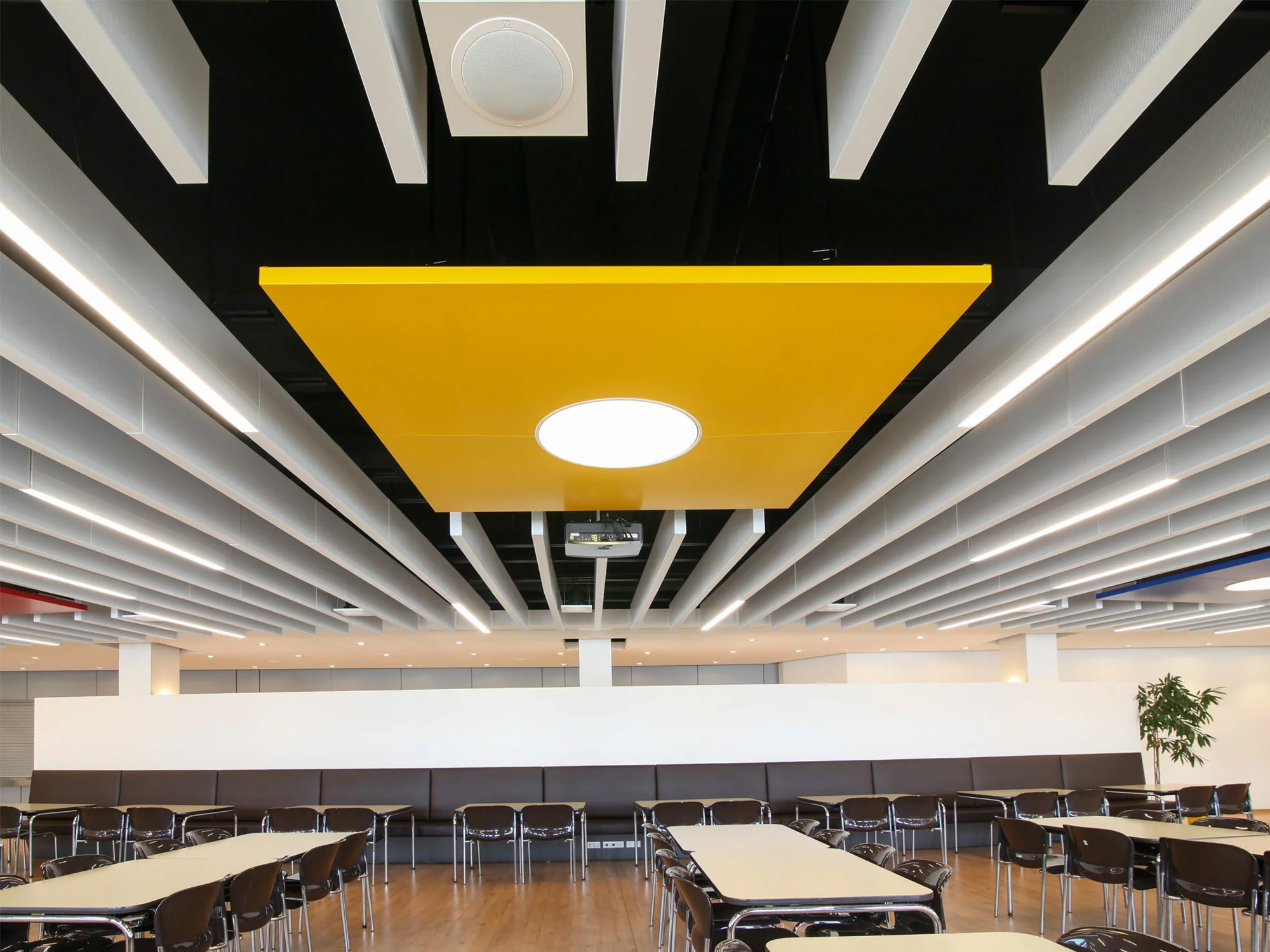 Architectural Acoustics and Aesthetics: Aluminum Baffle Ceiling Solutions.jpg