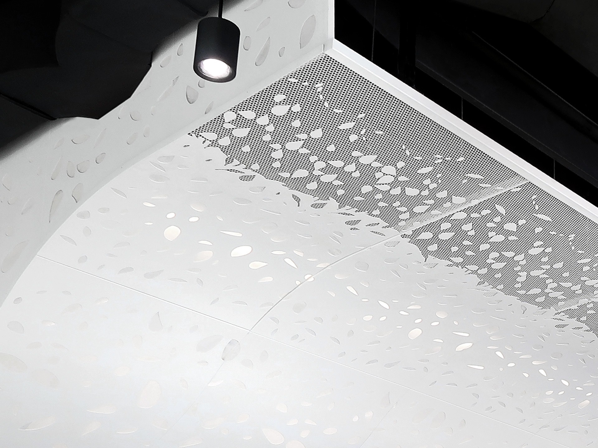 Meshing Functionality with Aesthetics: Aluminum Mesh Solutions for Versatile Applications.jpg